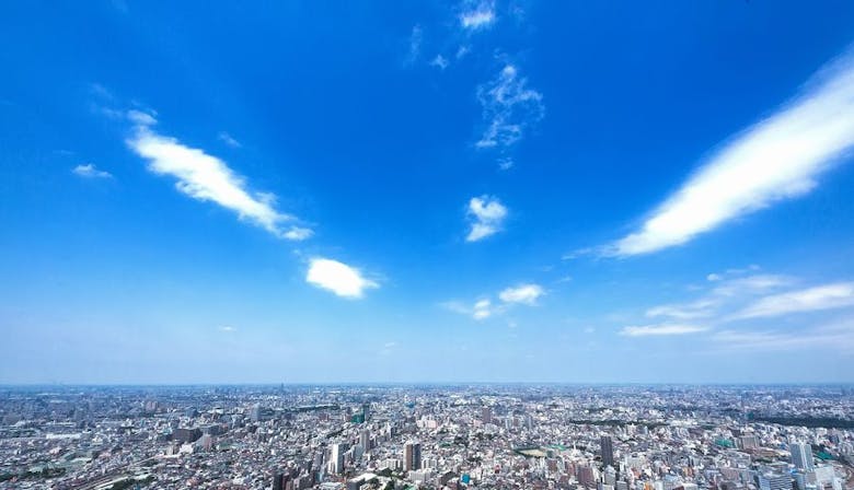 新春sky