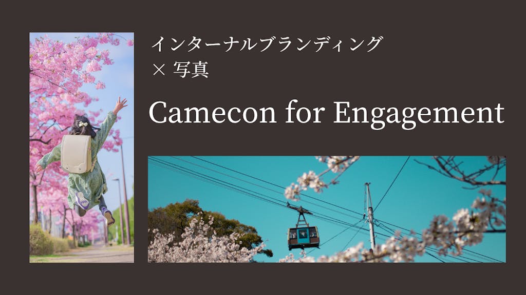 カメコンフォーエンゲージメント