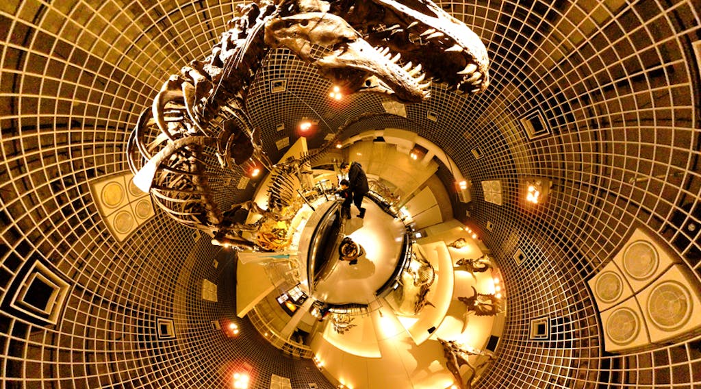 パブリック・ドメインの画像を検索できる7つのサイト!