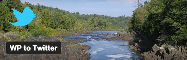 WP to Twitter, authored by Joe Dolson, is a plugin which can tweet your blog posts automatically.