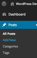 WordPress Dashboard posts