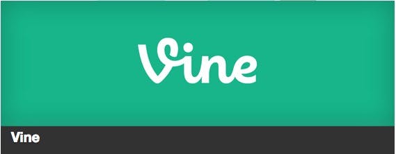 The vine plugin header