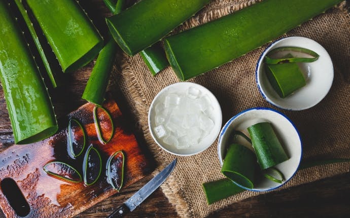 アロエ の 効能