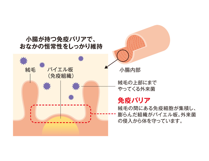 “1回6秒”の筋トレダイエットvol.7:姿勢やブラを変えてたぷたぷ二の腕を引き締める!