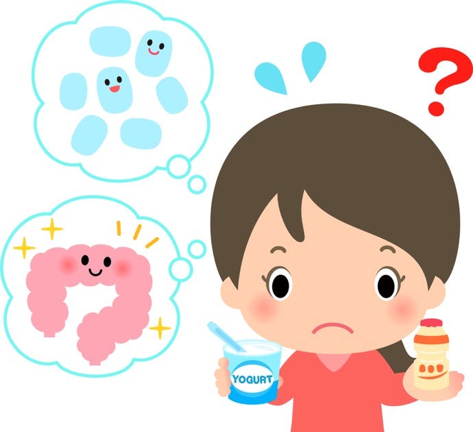 意外と知らずに食べている!? ヨーグルトとビフィズス菌との関係性とは?