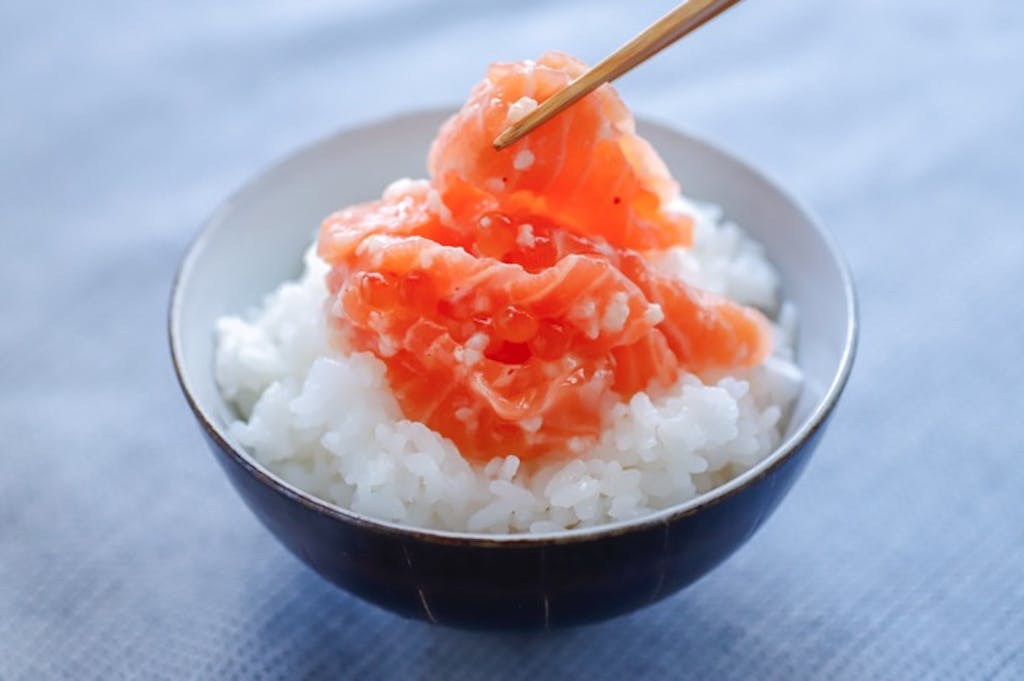 塩麹で腸内フローラを整える菌を増やす 育てる サーモン塩辛 鮭の石狩漬 菌トレ Kintre 塩麹で腸内フローラを整える菌を増やす 育てる サーモン塩辛 鮭の石狩漬 菌トレ Kintre