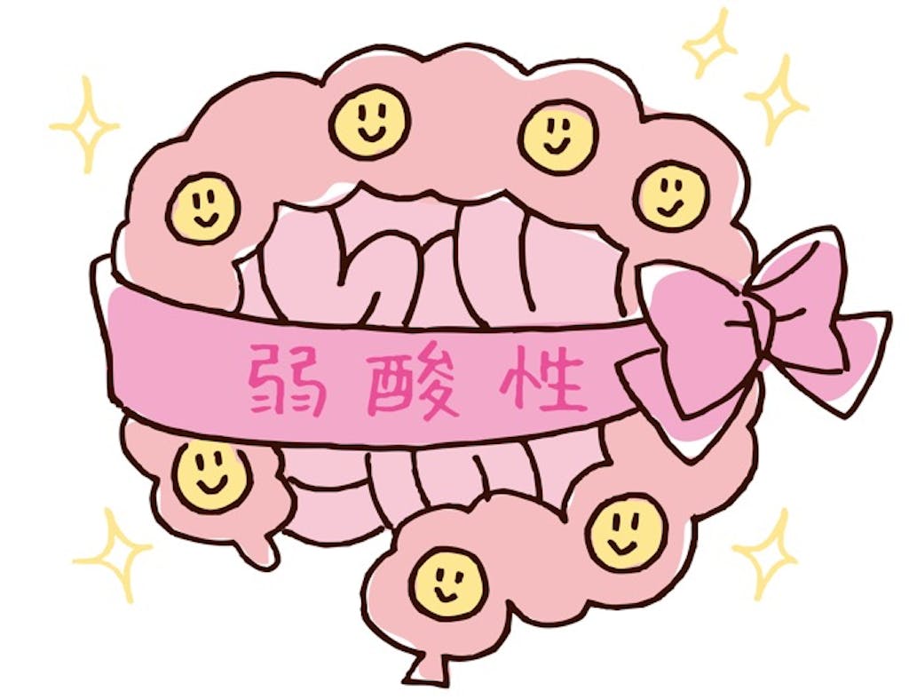腸内フローラを整えるにはどちらを選ぶ?「ビフィズス菌と乳酸菌」編