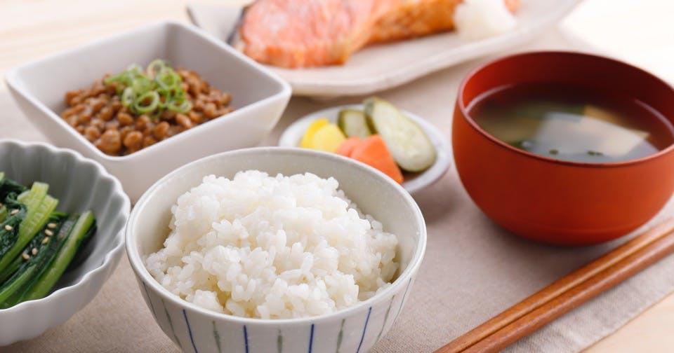 日本食と「乳酸菌」の長くて深い関係とは？