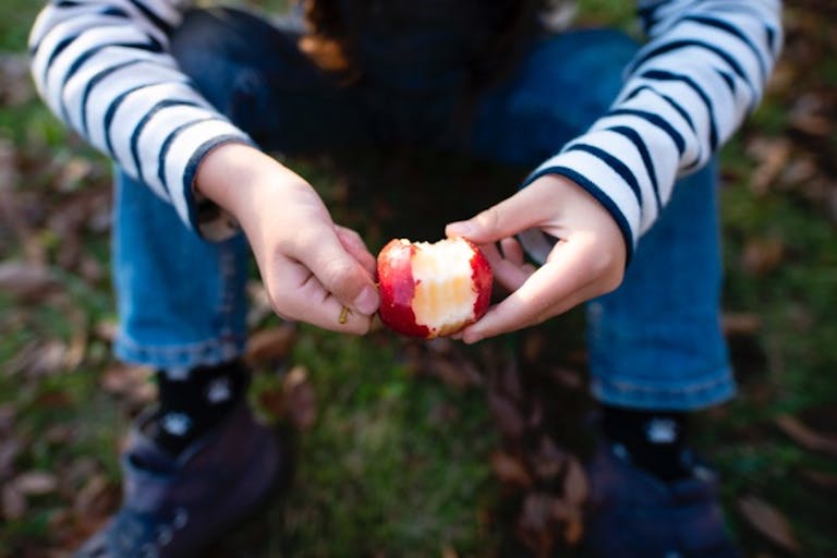 皮付きのままでも食べやすい「ホットりんご」で腸内環境をケアしよう！