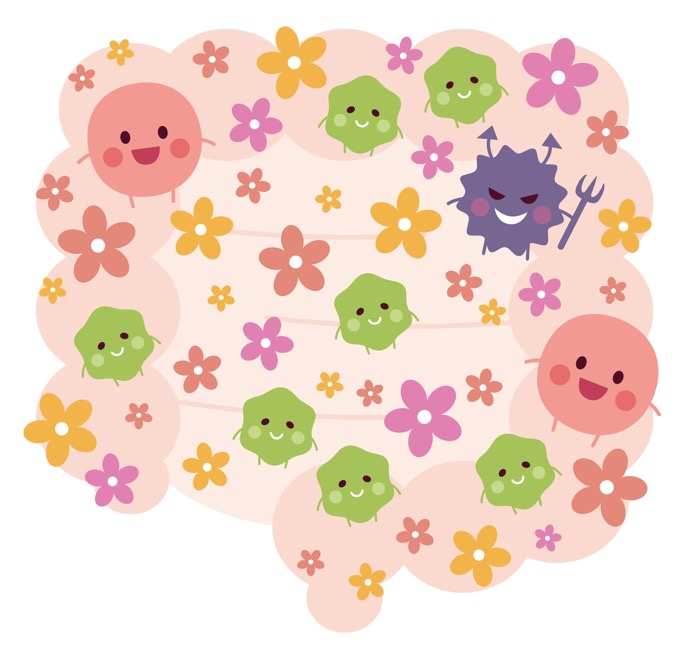 心臓や肺よりも重い?!体内の腸内細菌は何kgある?