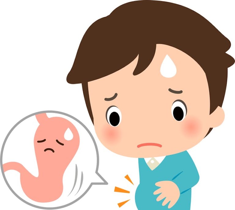 医師監修 痩せの大食い は胃下垂が原因 太りにくい体になるにはどうしたらいい 菌トレ Kintre