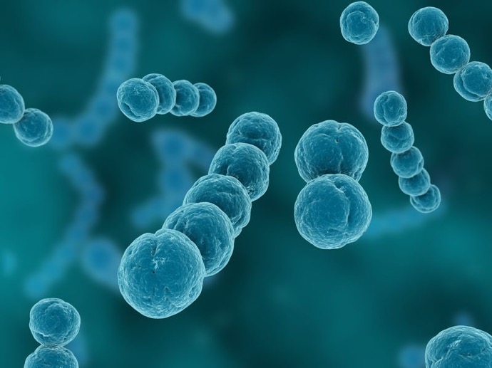 子どもの、のどの痛みの原因に!「溶連菌」とその感染症とは?