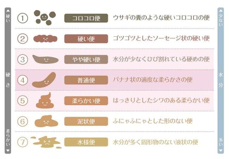 便秘解消で 自己肯定感 が高まる 便秘対策が人生を変えるかも 菌トレ Kintre 便秘解消で 自己肯定感 が高まる 便秘対策が人生を変えるかも 菌トレ Kintre