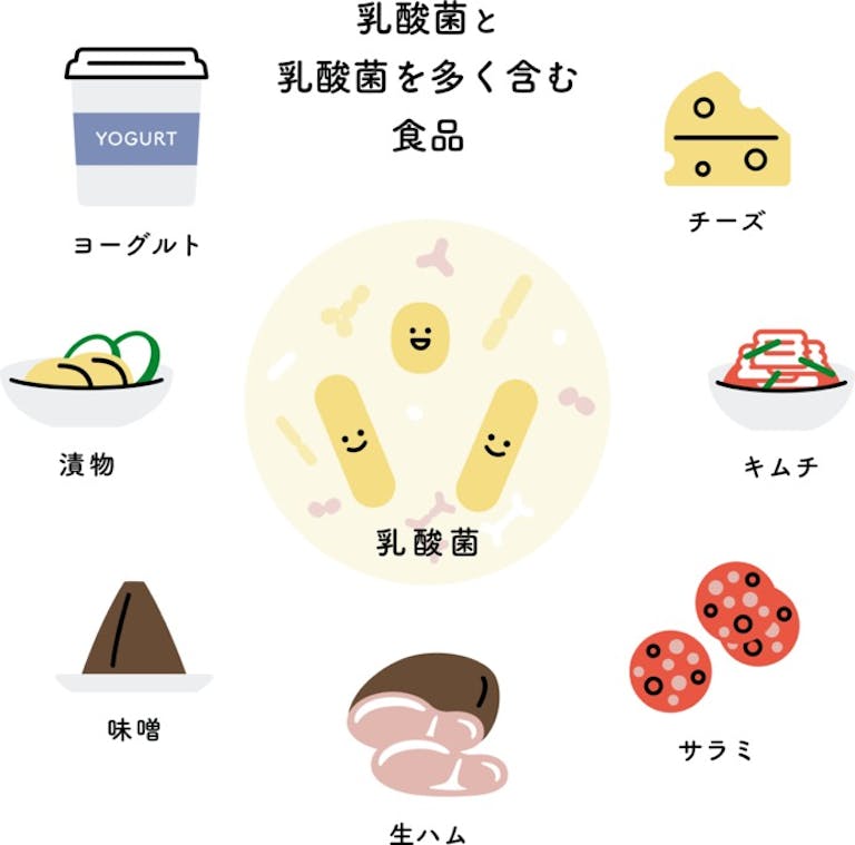 善玉菌で腸内環境を整えるのに役立つ、「食べ物」と「摂り方のコツ」