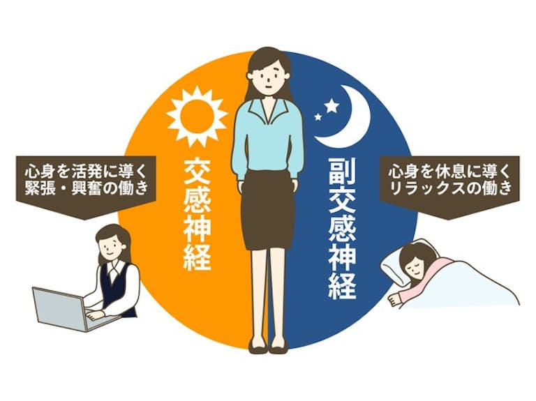 睡眠不足が便通異常の原因になるのは「睡眠時に腸は働くため」