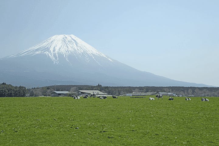 富士ミルクランド