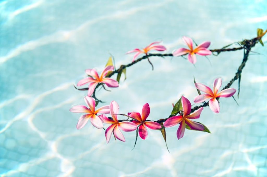 日帰りでもたっぷり遊べる!春のお出かけドライブスポット