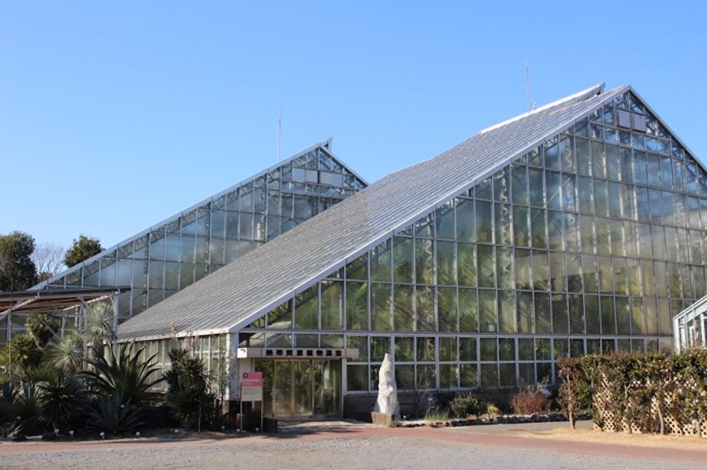 冬でもぬくぬく!植物の緑に癒やされる「植物園ドライブ」はいかが?