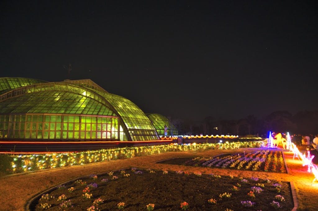 冬でもぬくぬく!植物の緑に癒やされる「植物園ドライブ」はいかが?