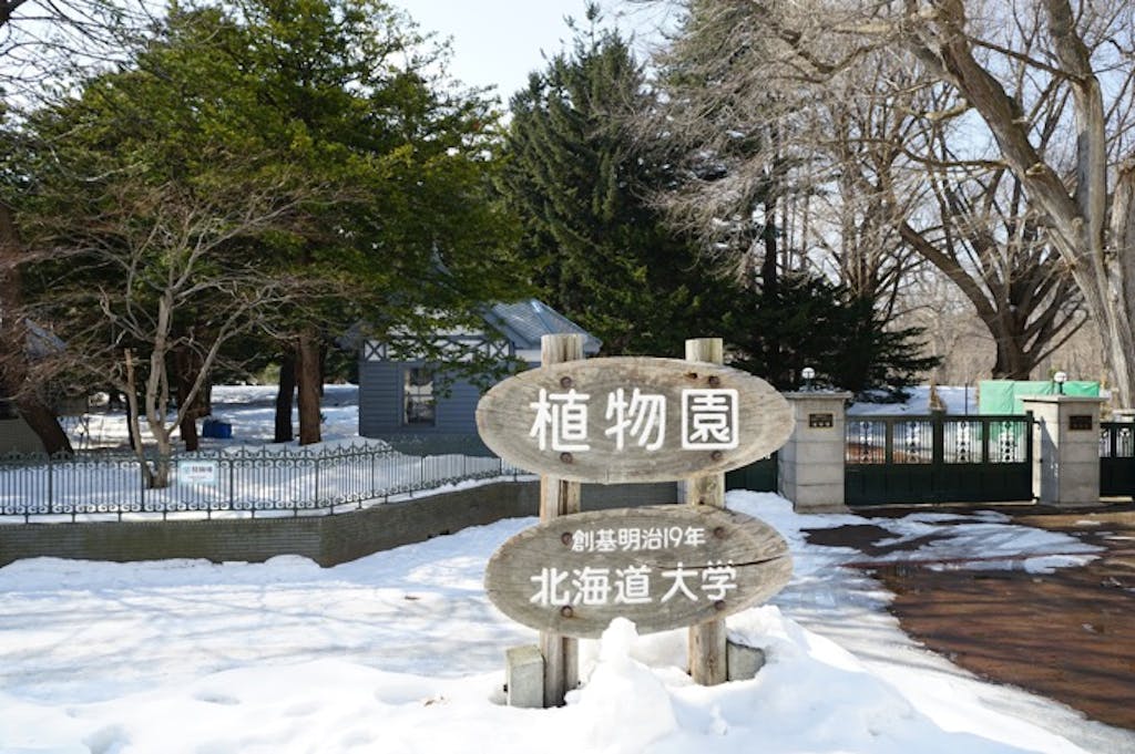 冬でもぬくぬく!植物の緑に癒やされる「植物園ドライブ」はいかが?