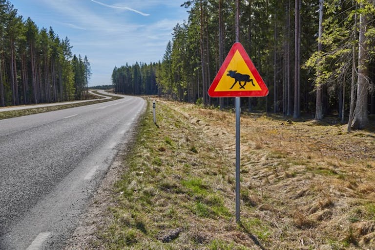 親指マークに取り消し線 の意味は 海外の変わった道路標識 On The Road