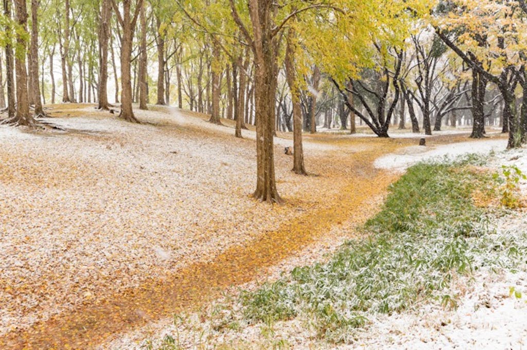 スタッドレスタイヤ履き替えの目安に!主な大都市の「最も早い初雪」の記録