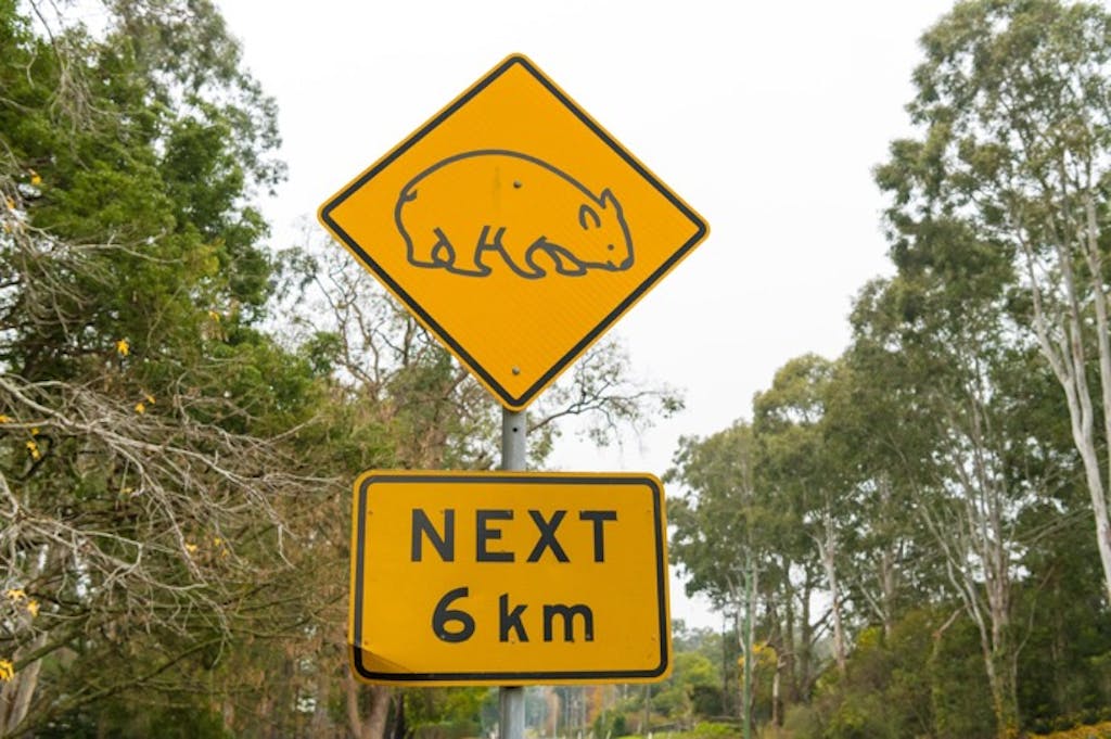 オーストラリアの「動物の標識」にはどんな動物が？そしてその理由は…