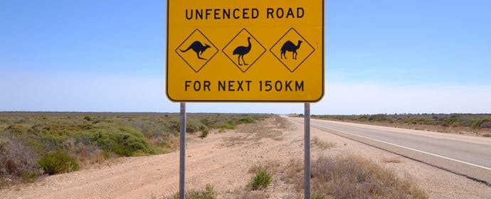 オーストラリアの「動物の標識」にはどんな動物が？そしてその理由は…