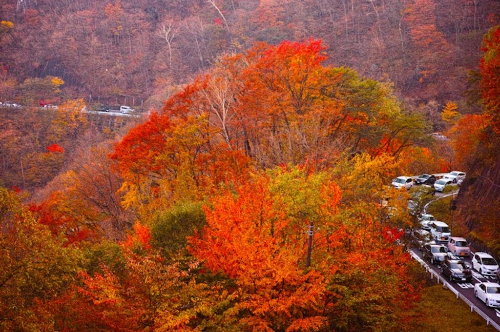 関東・晩夏~秋の日帰りドライブ6選──涼景・紅葉・旬グルメを一日で満喫