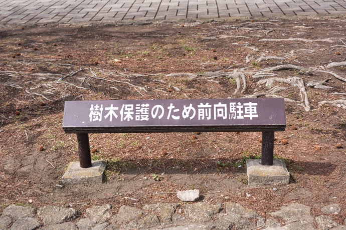 前向き駐車（前進駐車） vs バック駐車｜場面別の使い分けと失敗しないコツ 