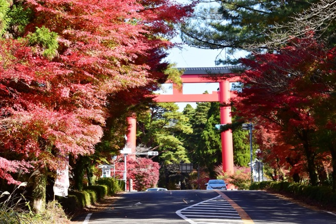 紅葉と温泉を楽しむドライブスポット｜見ごろ時期と安全運転のポイント