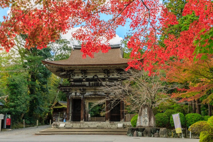紅葉と温泉を楽しむドライブスポット｜見ごろ時期と安全運転のポイント
