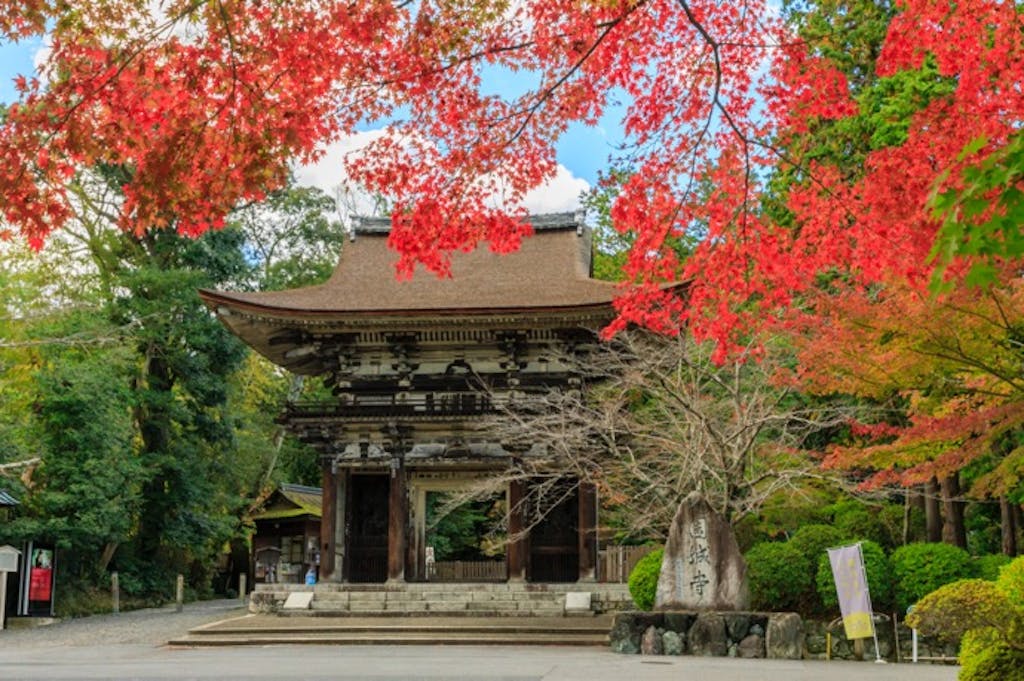 紅葉と温泉を楽しむドライブスポット|見ごろ時期と安全運転のポイント