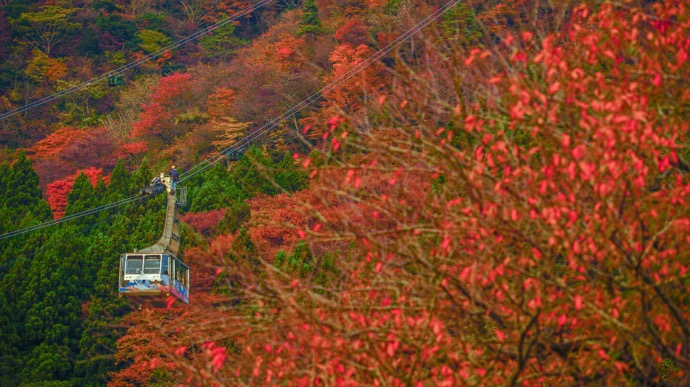 紅葉と温泉を楽しむドライブスポット｜見ごろ時期と安全運転のポイント