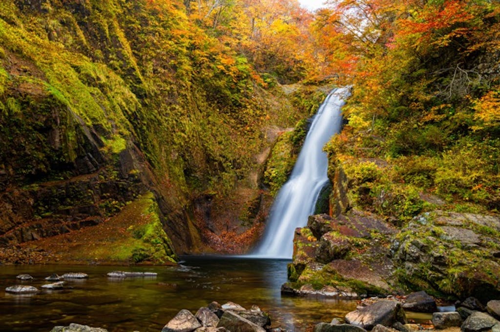 紅葉と温泉を楽しむドライブスポット|見ごろ時期と安全運転のポイント