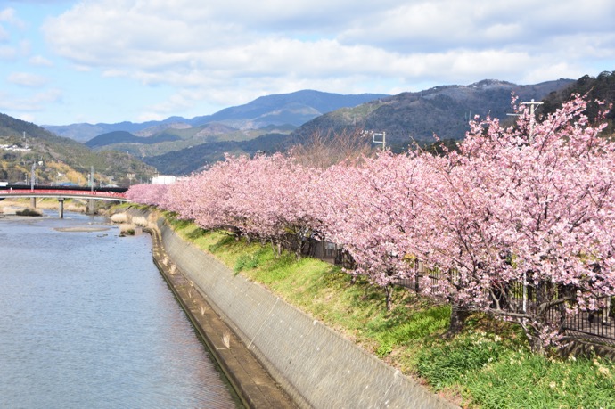 【2026年2月〜3月】冬の絶景ドライブスポット5選｜雪見・早桜とドライブ安全対策 