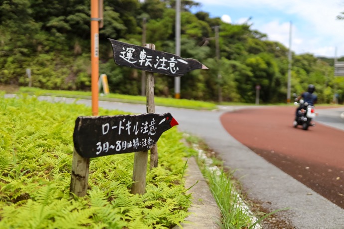 クルマの前に動物が飛び出したら？ ロードキルを防ぐ運転と衝突後の対応：動物注意（ヤンバルクイナ）